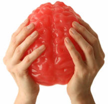 Giant Gummy Brain, purchase this fruity bubble gum flavored brain