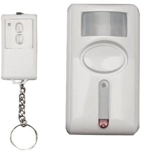 Motion sensor with remote for ghost hunting
